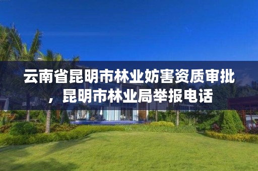 云南省昆明市林业妨害资质审批,昆明市林业局举报电话