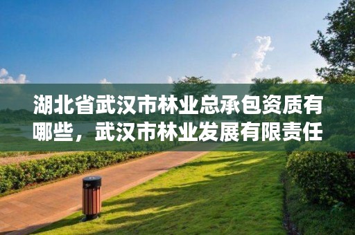 湖北省武汉市林业总承包资质有哪些，武汉市林业发展有限责任公司