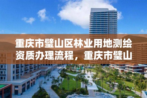 重庆市璧山区林业用地测绘资质办理流程,重庆市璧山区林业用地测绘资质办理流程图