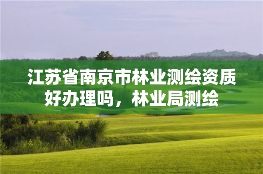 江苏省南京市林业测绘资质好办理吗,林业局测绘
