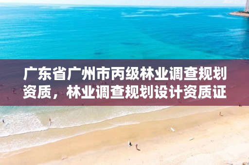 广东省广州市丙级林业调查规划资质,林业调查规划设计资质证书丙级