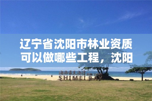 辽宁省沈阳市林业资质可以做哪些工程，沈阳林业公司