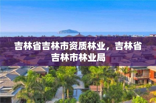 吉林省吉林市资质林业,吉林省吉林市林业局