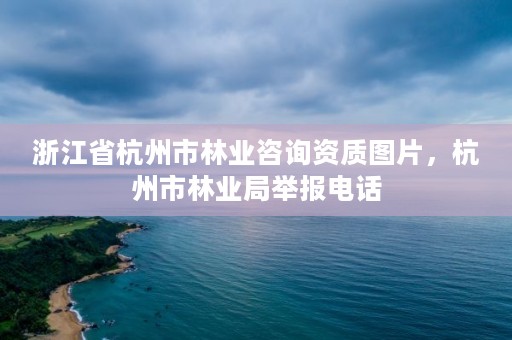 浙江省杭州市林业咨询资质图片,杭州市林业局举报电话