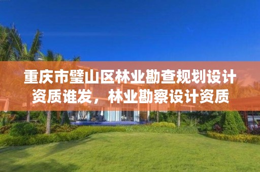 重庆市璧山区林业勘查规划设计资质谁发,林业勘察设计资质