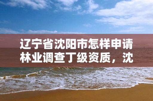辽宁省沈阳市怎样申请林业调查丁级资质，沈阳林业厅