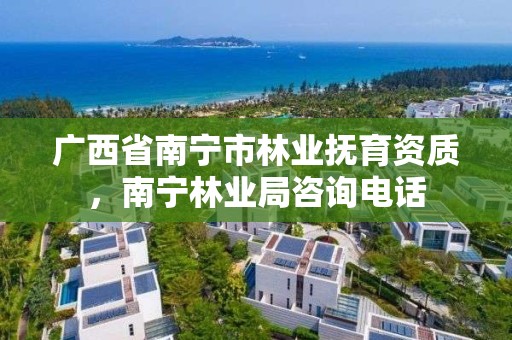 广西省南宁市林业抚育资质,南宁林业局咨询电话