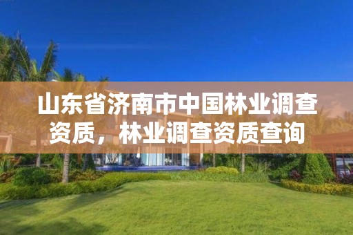山东省济南市中国林业调查资质,林业调查资质查询