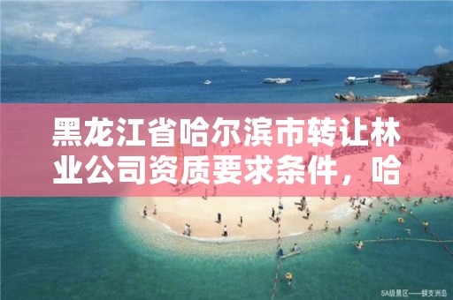 黑龙江省哈尔滨市转让林业公司资质要求条件,哈尔滨市林权流转活立木交易有限公司