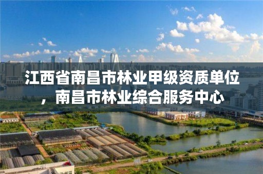 江西省南昌市林业甲级资质单位,南昌市林业综合服务中心