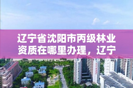 辽宁省沈阳市丙级林业资质在哪里办理，辽宁省沈阳市丙级林业资质在哪里办理的