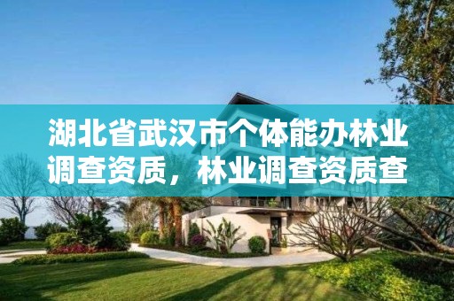 湖北省武汉市个体能办林业调查资质，林业调查资质查询