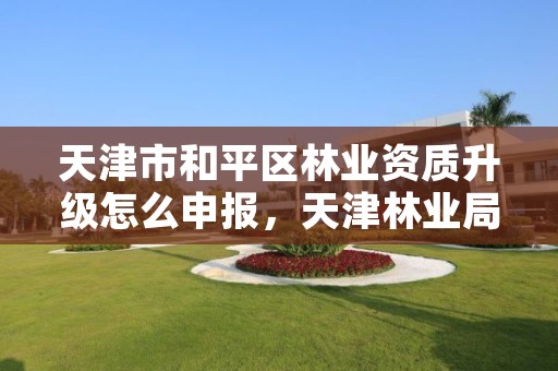 天津市和平区林业资质升级怎么申报,天津林业局网站