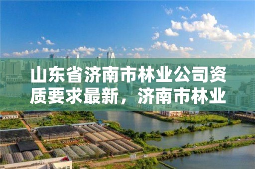 山东省济南市林业公司资质要求最新,济南市林业大厦地址