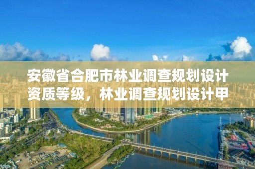 安徽省合肥市林业调查规划设计资质等级,林业调查规划设计甲级资质
