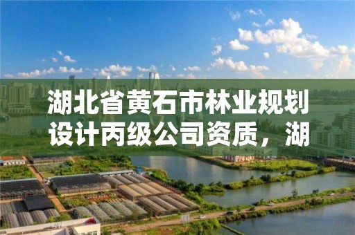 湖北省黄石市林业规划设计丙级公司资质，湖北省林业勘察设计院电话
