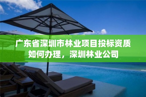 广东省深圳市林业项目投标资质如何办理,深圳林业公司