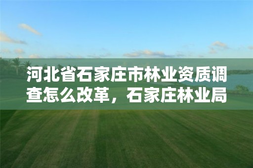 河北省石家庄市林业资质调查怎么改革,石家庄林业局官网
