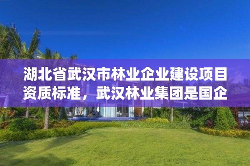 湖北省武汉市林业企业建设项目资质标准,武汉林业集团是国企吗