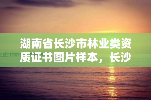 湖南省长沙市林业类资质证书图片样本，长沙林业局官网