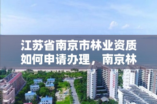 江苏省南京市林业资质如何申请办理,南京林业森林工程