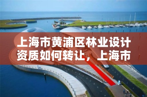 上海市黄浦区林业设计资质如何转让,上海市黄浦区林业设计资质如何转让出去