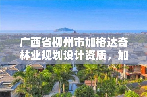 广西省柳州市加格达奇林业规划设计资质,加格达奇林业局有几个林场