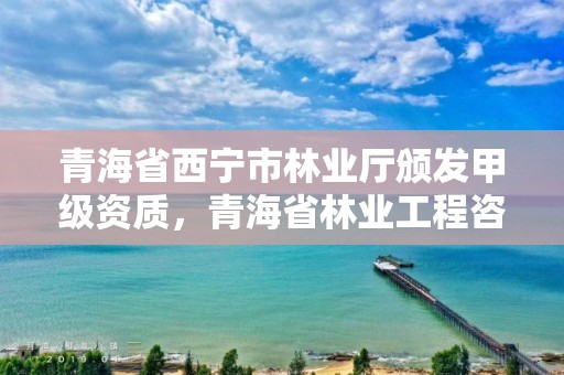 青海省西宁市林业厅颁发甲级资质,青海省林业工程咨询有限公司