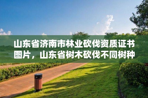 山东省济南市林业砍伐资质证书图片,山东省树木砍伐不同树种补偿标准
