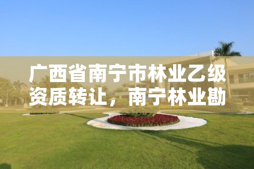 广西省南宁市林业乙级资质转让,南宁林业勘测设计院