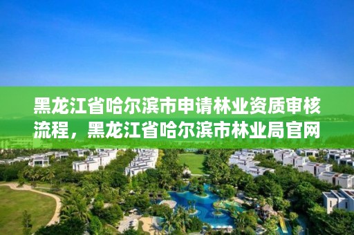 黑龙江省哈尔滨市申请林业资质审核流程,黑龙江省哈尔滨市林业局官网
