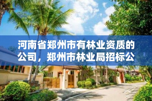 河南省郑州市有林业资质的公司,郑州市林业局招标公告