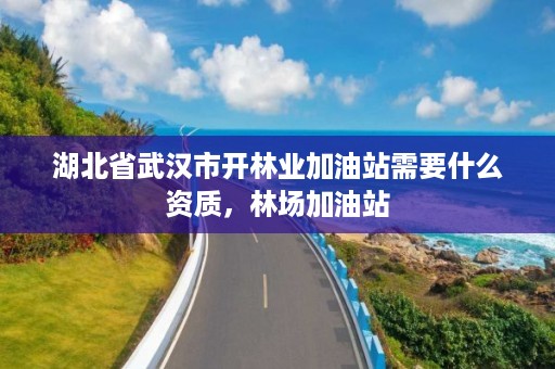 湖北省武汉市开林业加油站需要什么资质，林场加油站