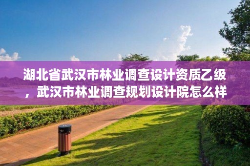 湖北省武汉市林业调查设计资质乙级,武汉市林业调查规划设计院怎么样