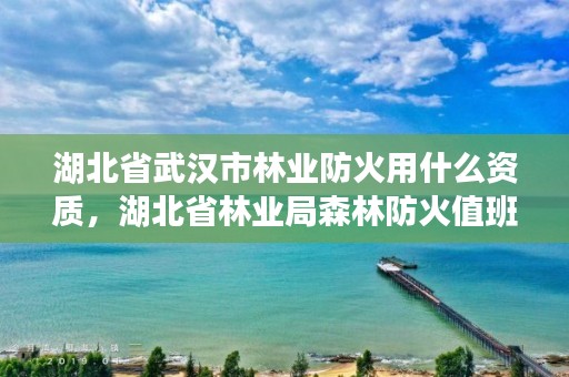 湖北省武汉市林业防火用什么资质，湖北省林业局森林防火值班电话是多少