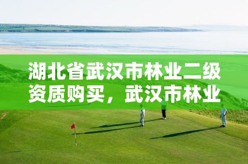 湖北省武汉市林业二级资质购买,武汉市林业发展有限责任公司