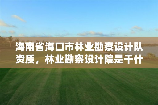 海南省海口市林业勘察设计队资质,林业勘察设计院是干什么的