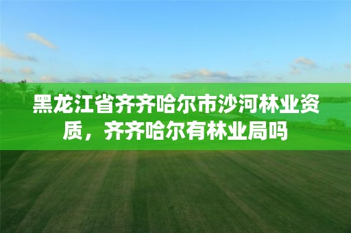 黑龙江省齐齐哈尔市沙河林业资质,齐齐哈尔有林业局吗