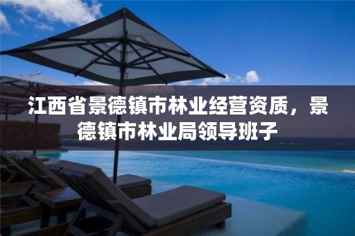 江西省景德镇市林业经营资质，景德镇市林业局领导班子