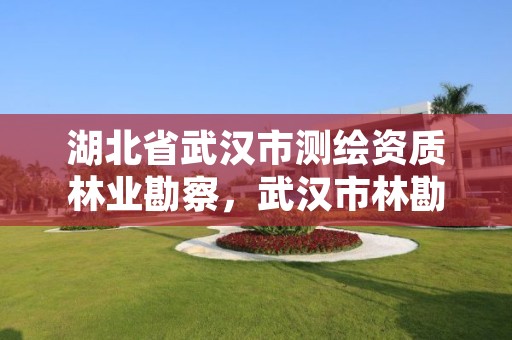 湖北省武汉市测绘资质林业勘察，武汉市林勘院