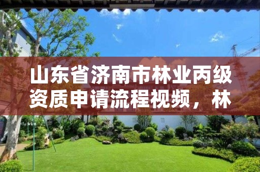 山东省济南市林业丙级资质申请流程视频,林业资质等级