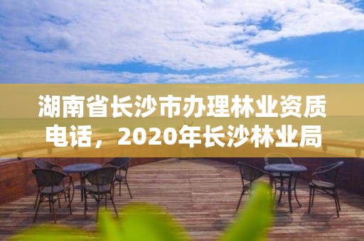 湖南省长沙市办理林业资质电话，2020年长沙林业局招聘公告