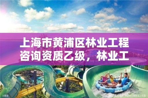 上海市黄浦区林业工程咨询资质乙级,林业工程咨询协会