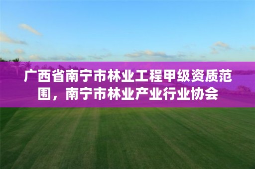 广西省南宁市林业工程甲级资质范围，南宁市林业产业行业协会