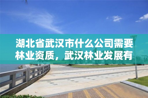 湖北省武汉市什么公司需要林业资质，武汉林业发展有限责任公司