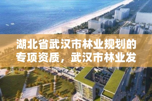湖北省武汉市林业规划的专项资质，武汉市林业发展有限责任公司