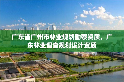 广东省广州市林业规划勘察资质，广东林业调查规划设计资质