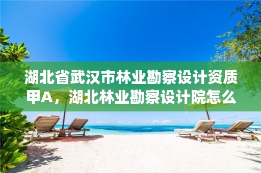 湖北省武汉市林业勘察设计资质甲A，湖北林业勘察设计院怎么样