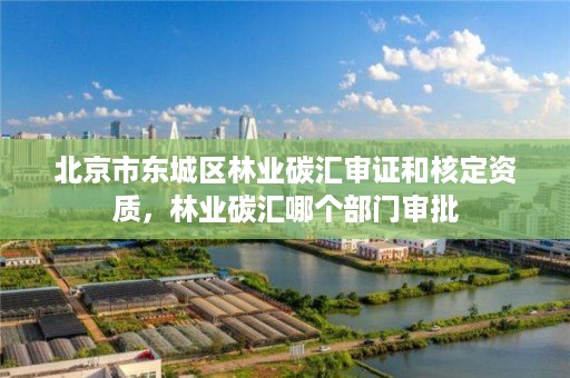 北京市东城区林业碳汇审证和核定资质,林业碳汇哪个部门审批