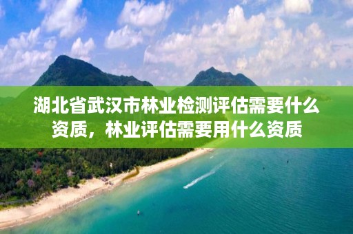湖北省武汉市林业检测评估需要什么资质，林业评估需要用什么资质